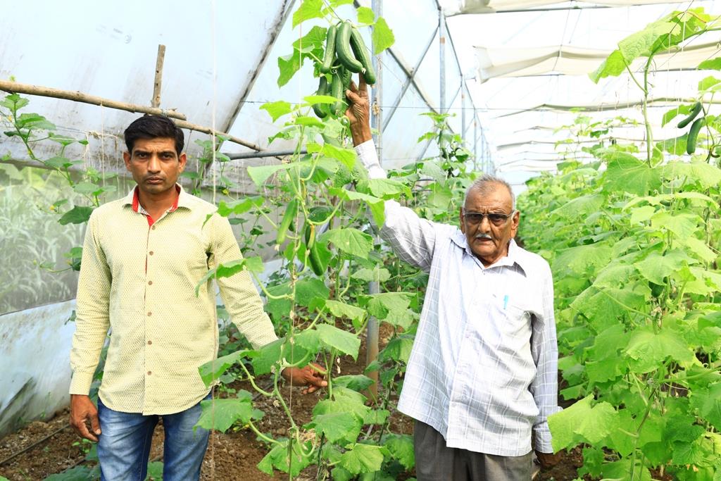 agri.jpg