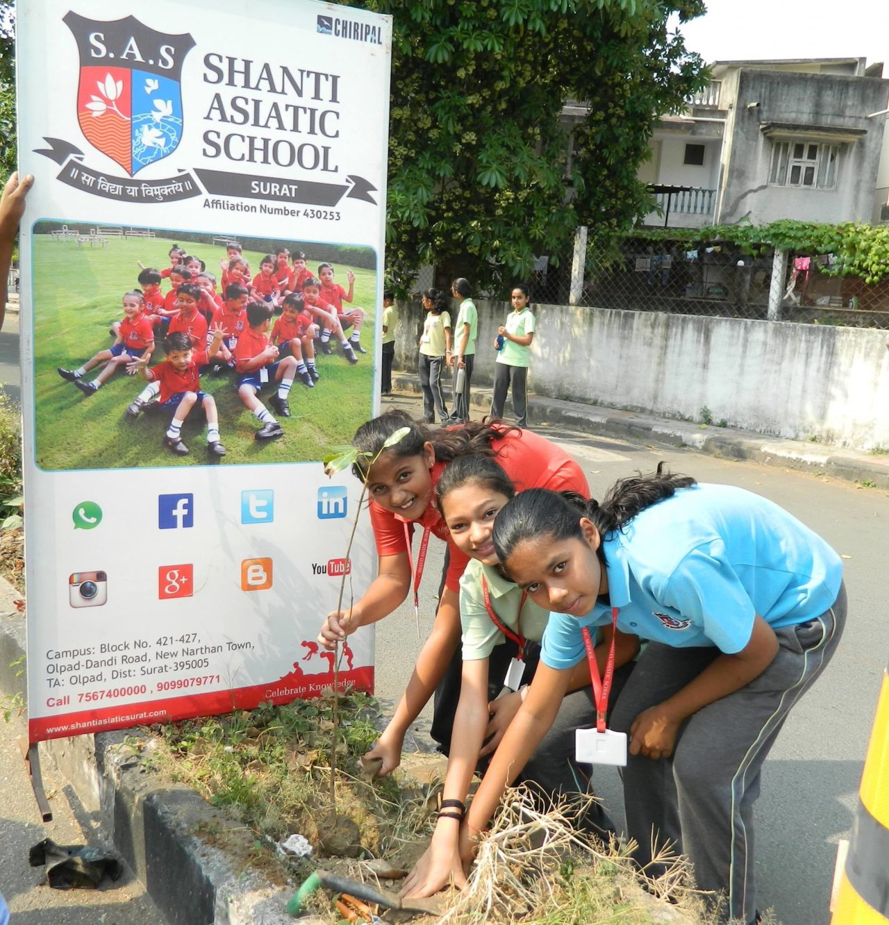 Tree-Plantation-6-1280x1332.jpg