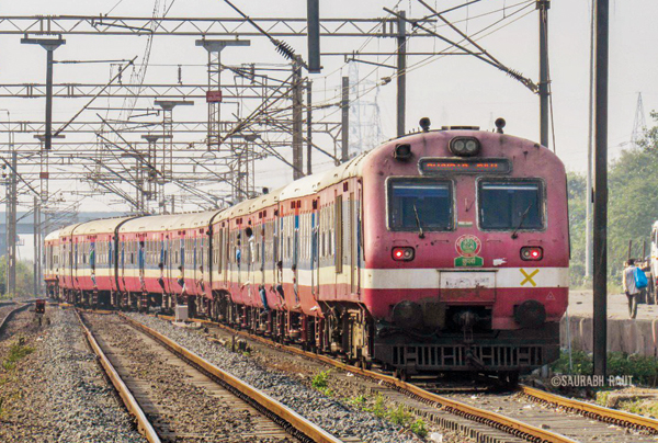 demu.jpg