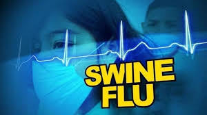 swine_flu1.jpg