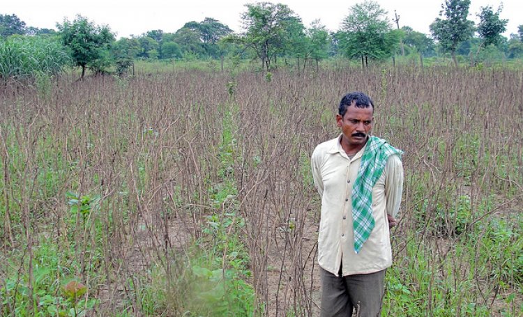 agri-1.jpg