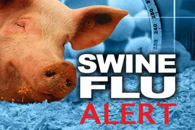 swine-flu_.jpg