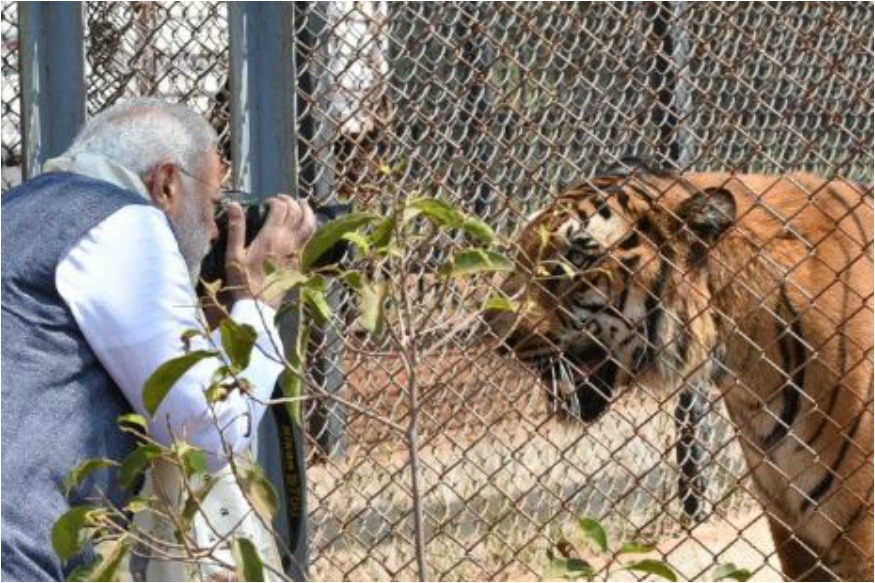 Pm-Modi_with_tiger.jpg