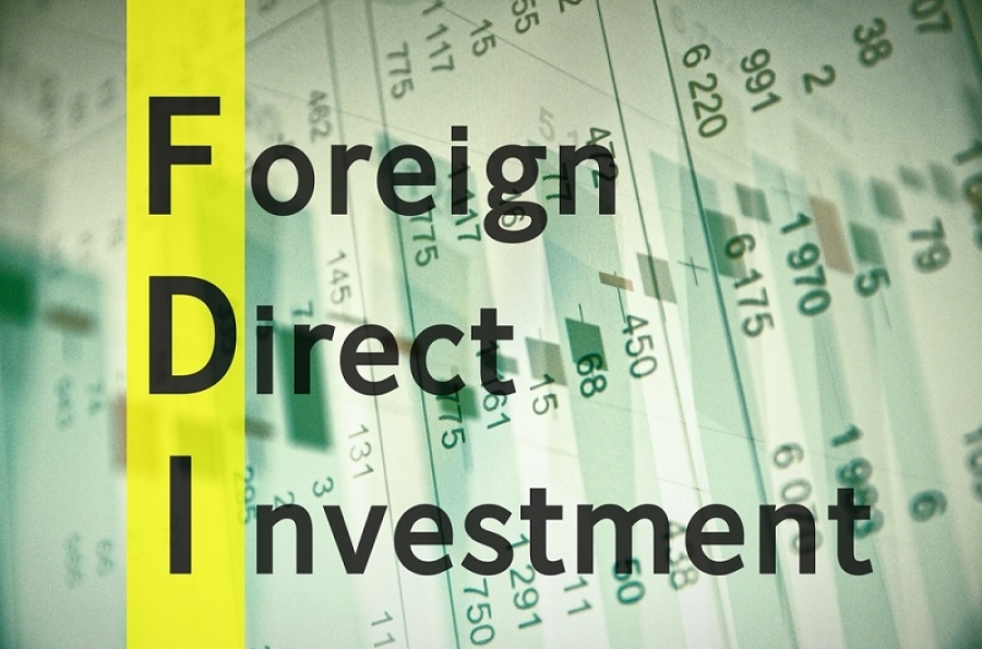 fdi.jpg