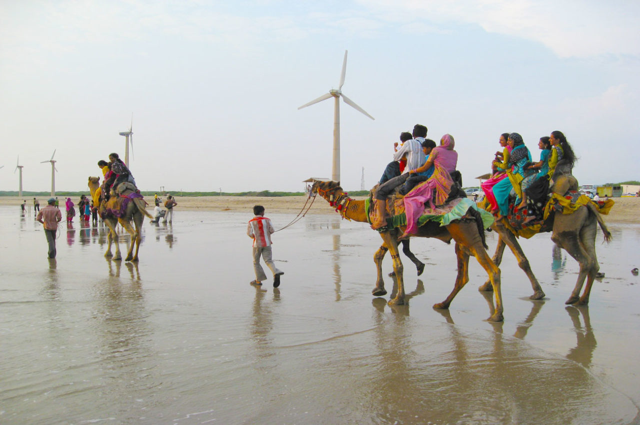 beach_festival-1280x851.jpg