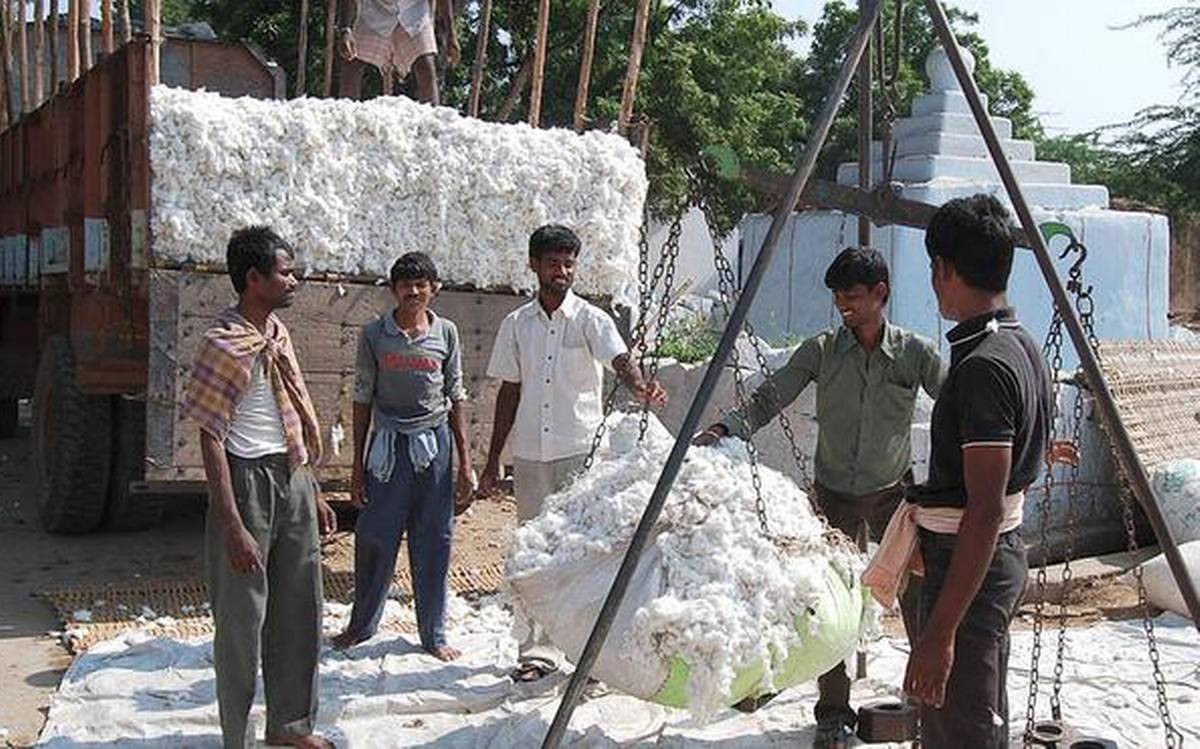 cotton.jpg