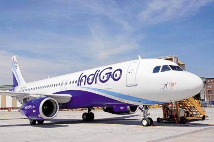 indigo.jpg