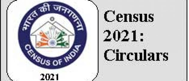 census21.jpg