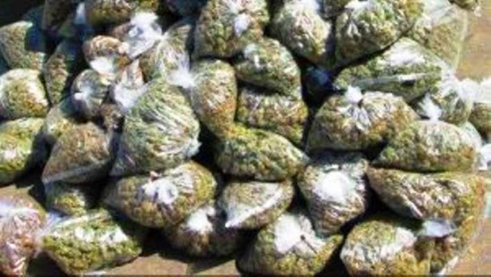 surat_ganja.jpg