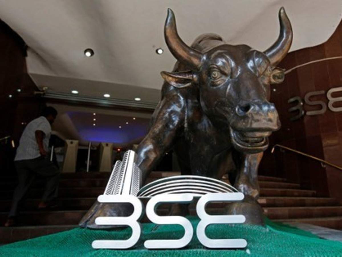 bull.jpg