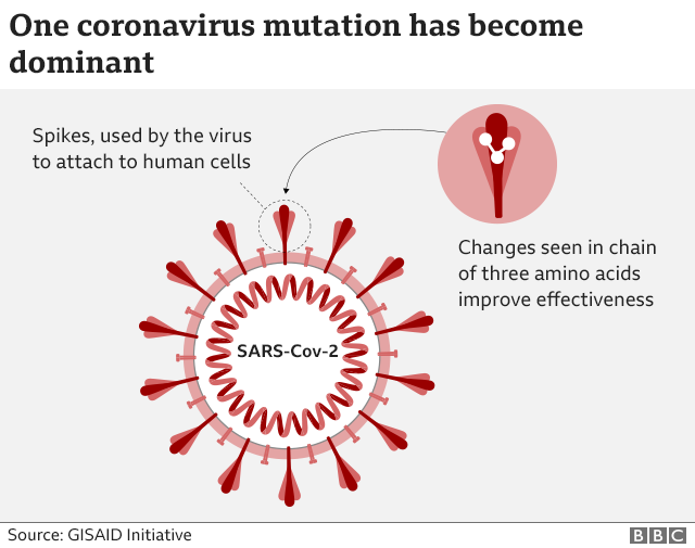 virus_mutation640-nc-4.png