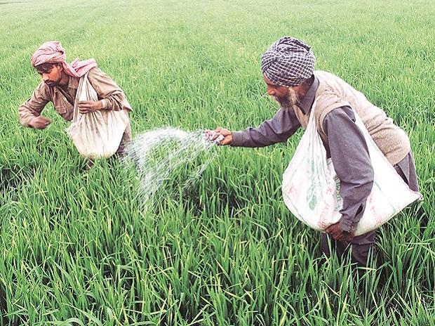 dap_fertilizer.jpg