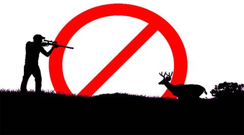 hunting.jpg